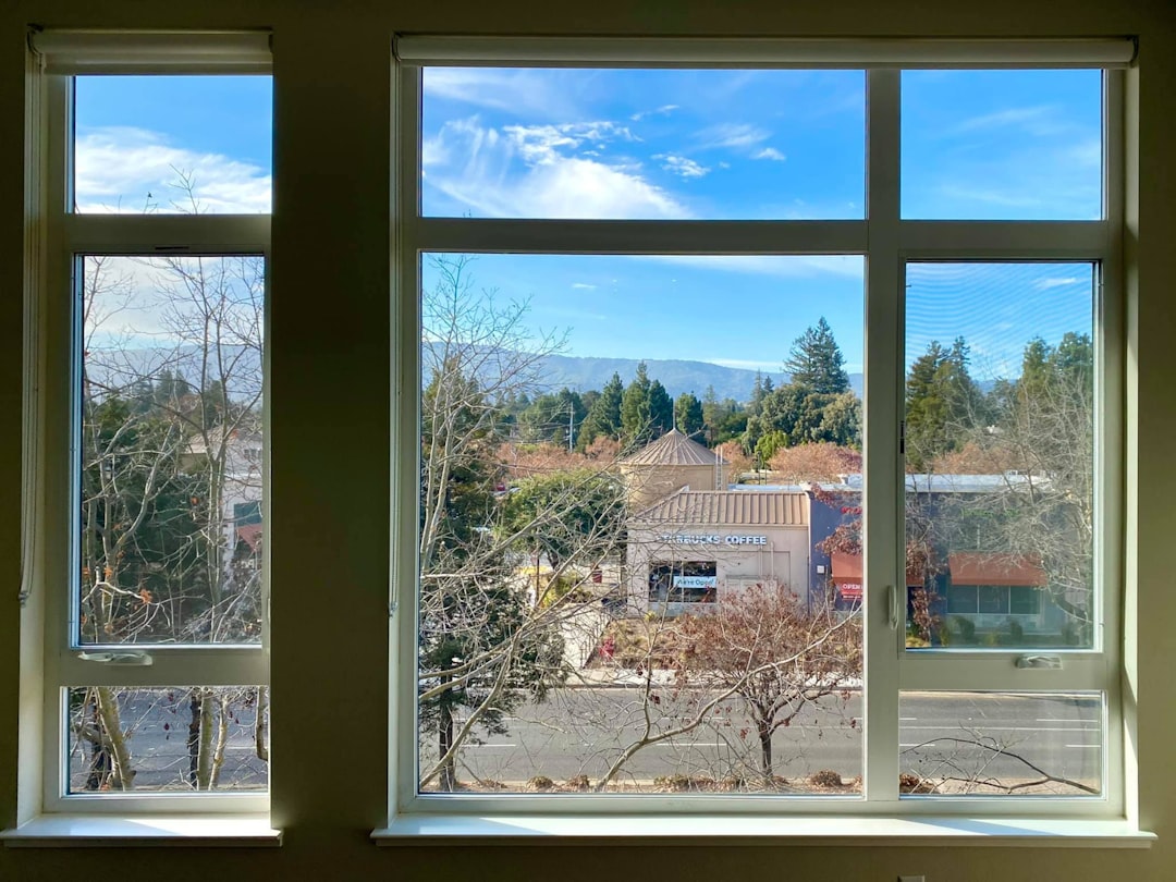 So, it turns out that... It’s not easy to find a home with the view of a mountain in “Mountain View”. 😐 But, we finally found one! View of Paradise